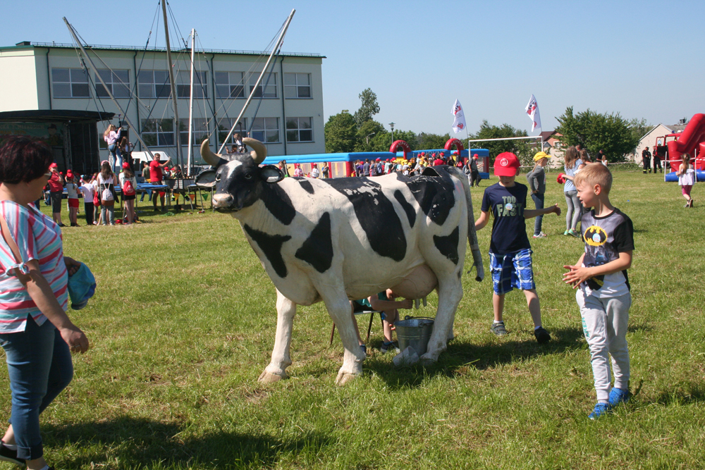 Dzień Dziecka w Jeżewie Starym, 31.05.2019